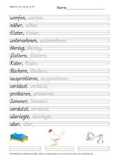 DSS_2S_Bu_er_Nr_06.pdf